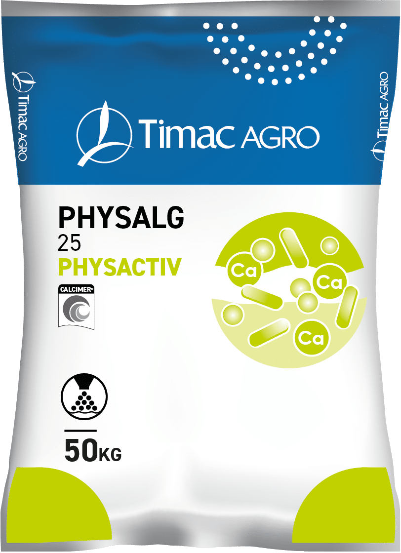PHYSALG 25